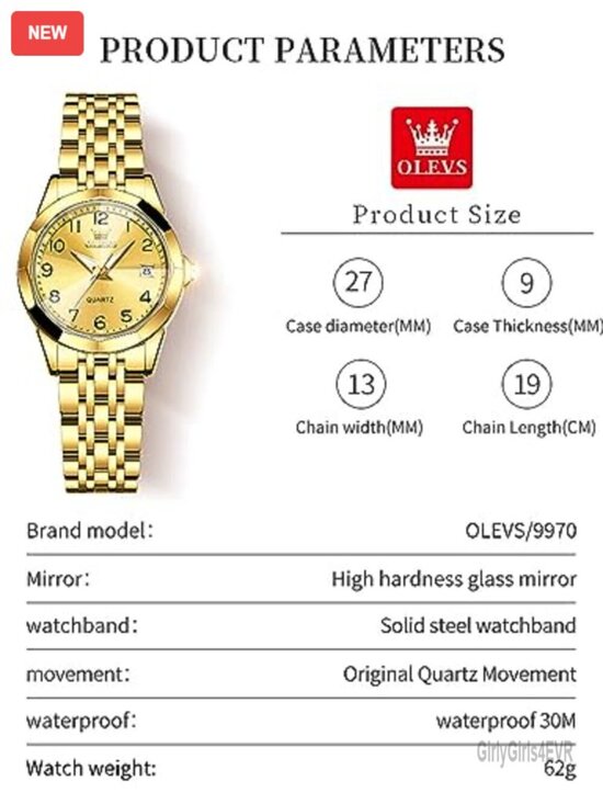 Women\'s Analog Quartz Stainless Steel Dress Watch with Day Date and Luminous
